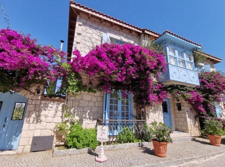 Asma Han Alacati Çeşme Dış mekan fotoğraf